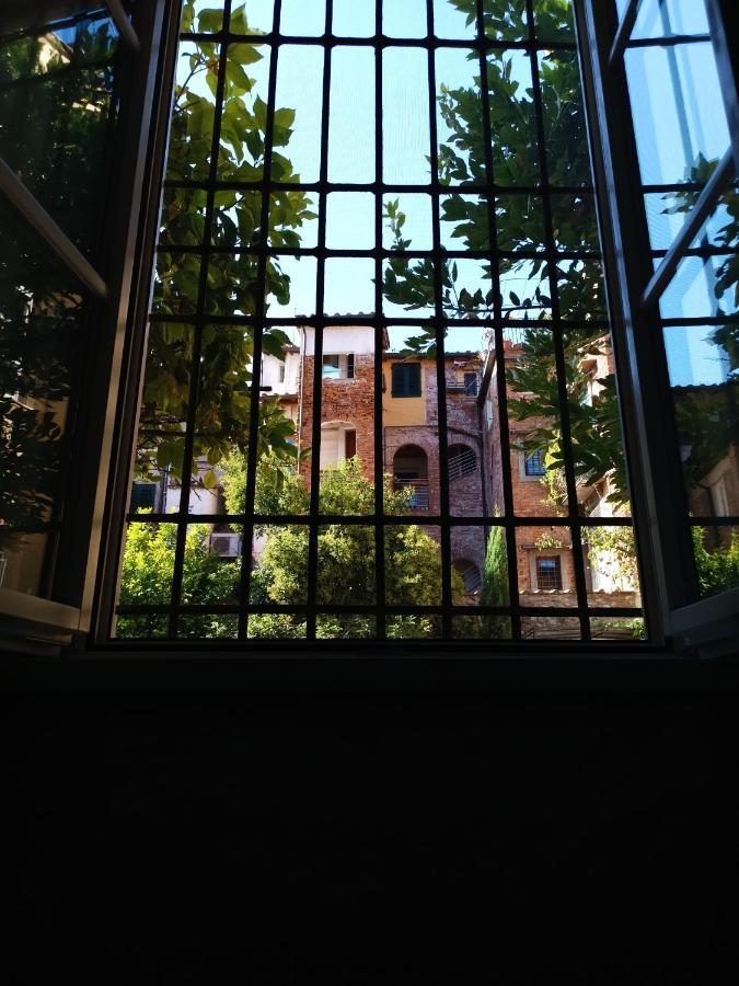Chill In Tuscany Ground Floor Lucca Exterior foto